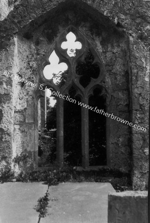 FRAIRY WINDOW OF TRANSEPT IN N.CHAPEL